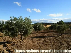 finca en venta 350 has. labor secano olivar