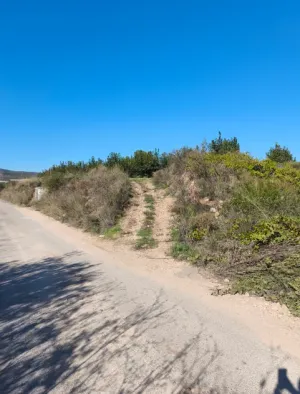Campo Caqui