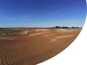 60 ha DE REGADÍO EN CHINCHÓN-ARANJUEZ