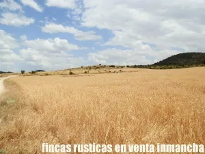 finca en venta 464 has. labor monte Albacete