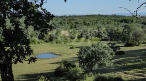 Dehesa para construir en Sierra de Gredos