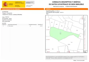 SE VENDE FINCA DE OLIVAR DE 15 ARANZADAS