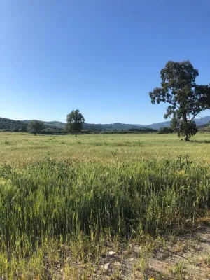 Finca mixta agrícola ganadera renovables en C