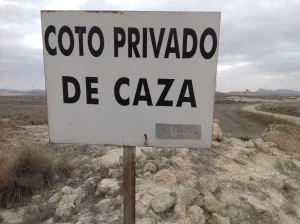 FINCA EN JUILLA