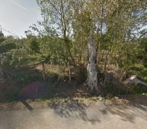 Finca LOS LLAGANOS. VILLANUEVA DE LAS MANZANA