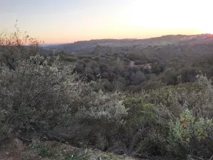 Finca de Lujo a 45km de Sevilla