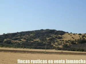 finca venta 326 has labor ganadera en Almagro