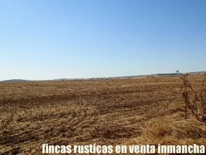 finca en venta 184 has. labor riego Belmonte