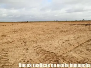finca en venta 22 has. Pistacho-Labor riego