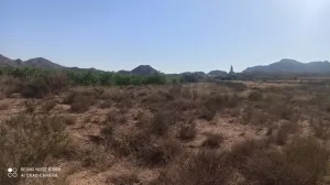 PARCELAS rústicas en Agost.