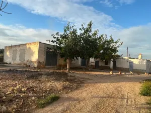 Finca rustica zona Amposta