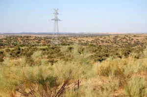 Finca Ganadera De 800ha Cerca De Cáceres