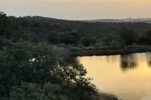 Finca Con Buen Acceso En Venta.