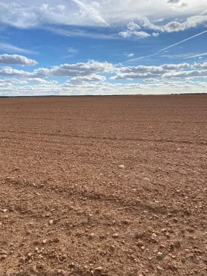 [gestifincarustica] - Tierra calma de  labor