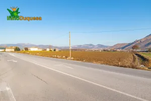 Venta de parcela de regadío en Fuente Vaquero