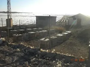 FINCA REGADIO 35 Ha. COTA 120 CAMPO CARTAGENA