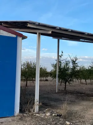 [gestifincarustica] - almendros regadio