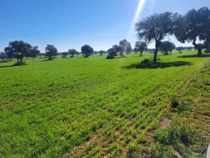 Hermosa finca de 400 hectáreas