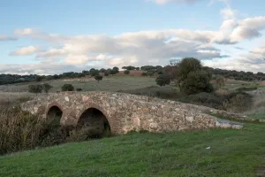 75ha. FINCA AGRÍCOLA Y CAZA