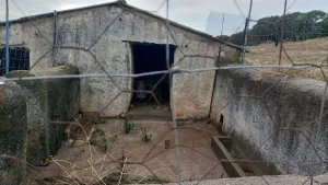 Finca rustica junto al pueblo