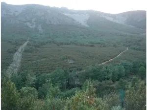 Finca Rústica de 228ha en venta