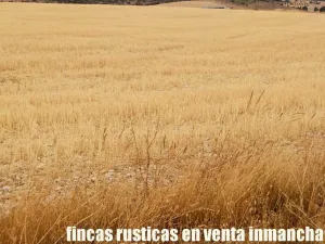 finca en venta 335 has. caza menor Cuenca