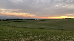 Venta finca agrícola y cinegética de 345 Has