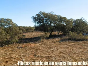 finca en venta 106 has. labor monte en Toledo