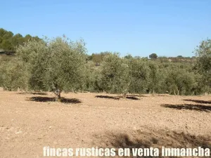 finca en venta 30 has. recreo en Madrid