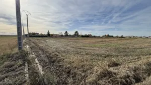 Se vende finca rústica 981 pol.2, VILLARALBO