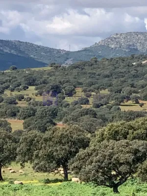 FINCA GANADERA Y CINEGÉTICA EN ZONA MÉRIDA