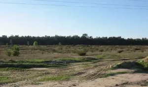 Finca Almonte Huelva