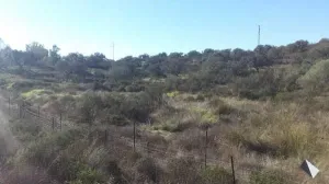 Finca en San Bartolome de la Torre