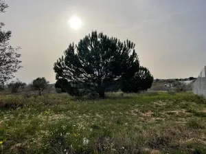 Finca Fontanilla La Palma del Condado