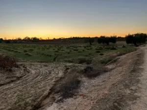 Finca con pozo Bollullos Par del Condado