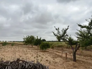 Finca en Bollullos par del condado Bollullos