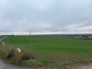 Finca Bollullos Par del Condado, Huelva