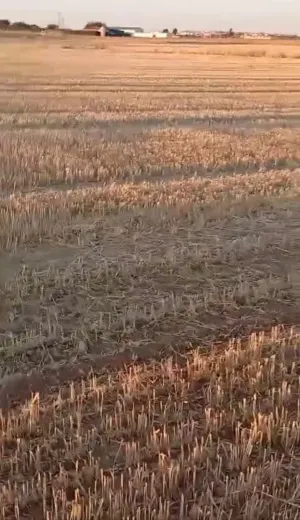 FINCA RUSTICA EN ALMAGRO, CIUDAD REAL, ESPAÑA