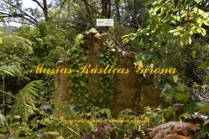 Finca de 79 hectáreas en Susqueda