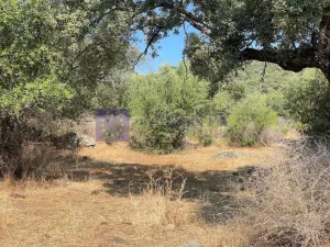 Finca 50 ha Alcuescar