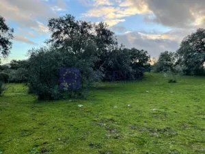 FINCA  110 HECTÁREAS EN LA ZONA DE ALCUESCAR