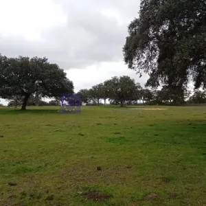 Finca de 220 ha zona Guadalupe