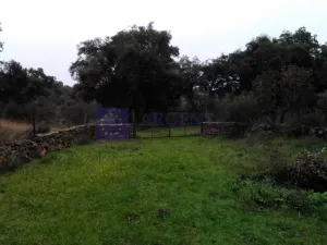 Finca Ganadera 200 ha en Aliseda