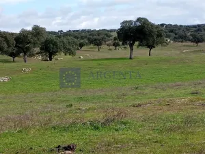 Finca Ganadera y Recreo de 140 ha Mérida