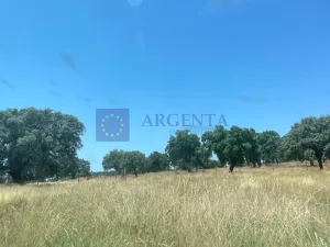 Finca Ganadera de 170 ha zona Plasencia