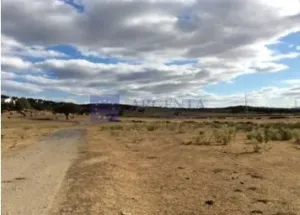 Finca Ganadera de 180 ha zona Plasencia