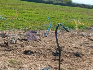 Se Vende Finca Regadío en Coria