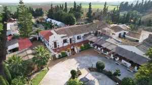 Finca en Los Alcázares