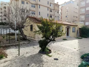 Finca en Torrevieja - Alicante