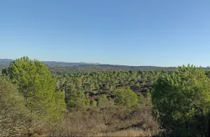 Finca Forestal en Venta Zalamea La Real